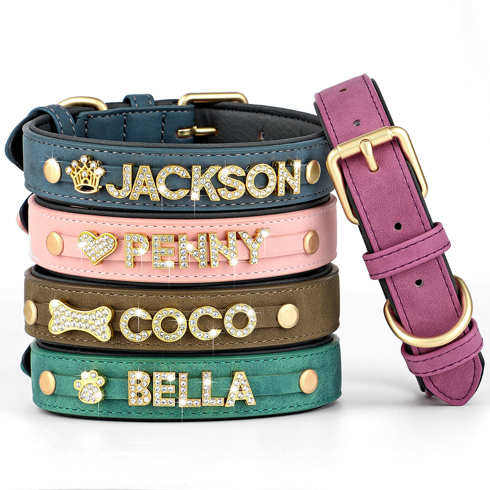 Personalized Leather Dog Collar